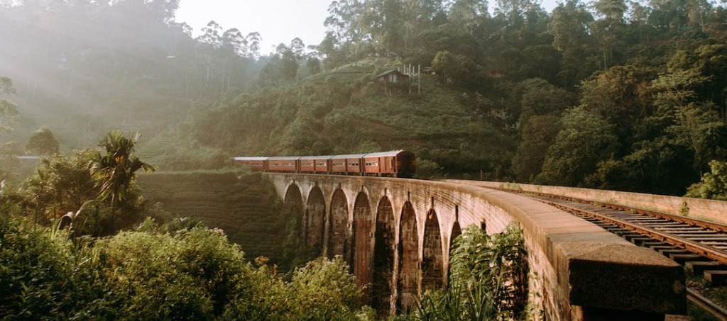 Vue rapprochée sur les rails historiques du train colonial menant à la gare de montagne d'Ella